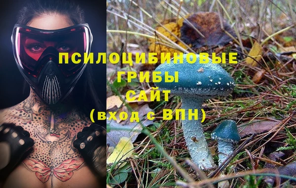 прущие крисы Белокуриха