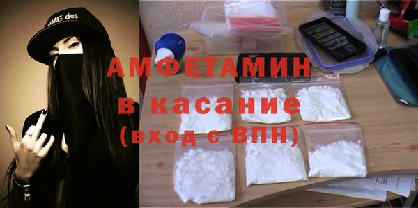 гидра Богородицк