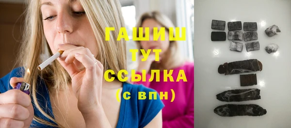 гидра Богородицк