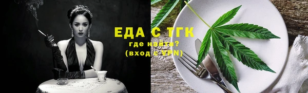 гидра Богородицк