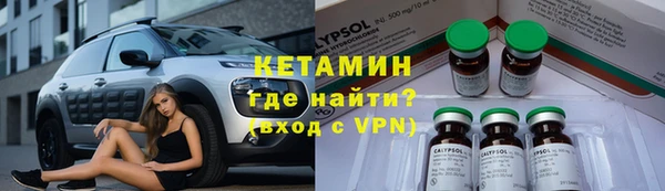 гидра Богородицк