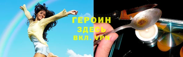 гидра Богородицк