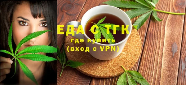 гидра Богородицк