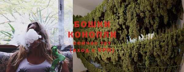 прущие крисы Белокуриха
