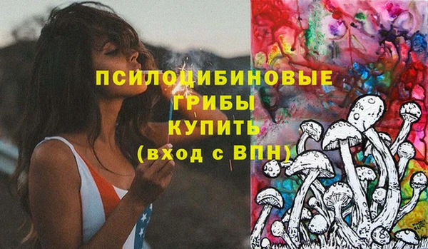 мдма Богданович