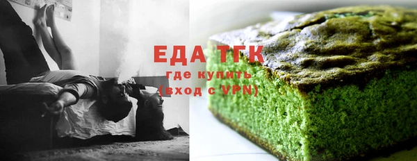 гидра Богородицк