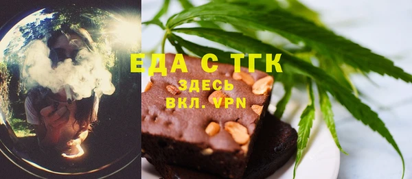 гидра Богородицк