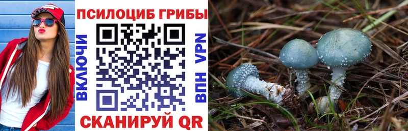 Псилоцибиновые грибы Magic Shrooms  Белокуриха 